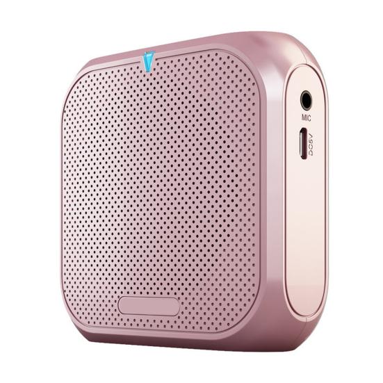Portable Wireless Voice Amplifier Teachers Meeting Tour Guide Rechargeable PA System Speaker Personal Amplifier