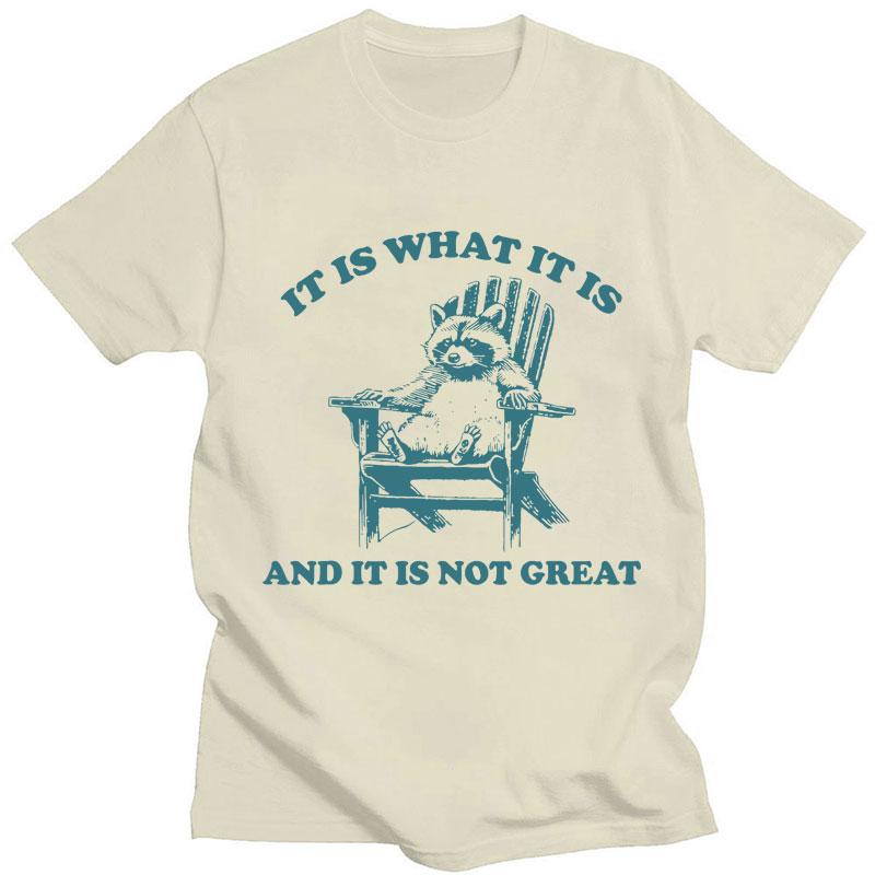 It Is What It Is and It Is Not Great Raccoon Meme T-Shirt Funny Opossum Popular Tshirt Unisex Fashion Cotton Casual Short Sleeve