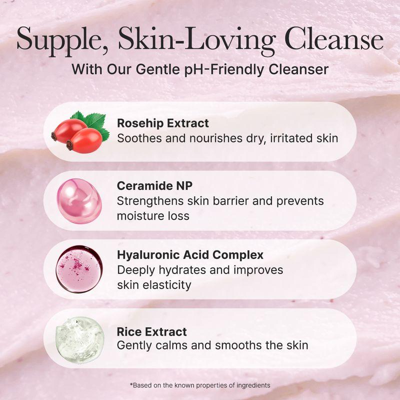 [ARENCIA] Rosehip Mild PH Balancing Rice Cake Cleanser 150g