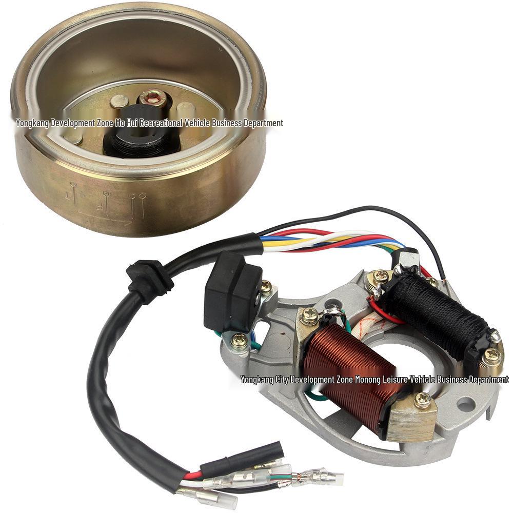 

Off-road Motorcycle & ATV Accessories: Dayang 100 DY100 Coil Magneto for 50CC-110CC Dune Buggy Single Cylinder