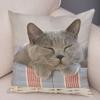 Cute Pet Animal Print Pillowcase Funny  Cat  Decoration Car Sofa Home Cushion Cover