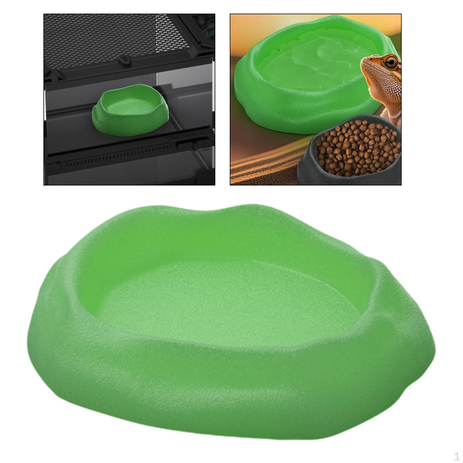 

Reptile Water Dish Drinking Tray Corner Shallow Small Feeder Terrarium Decor for Frog Gecko Tortoise зелений