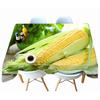 Corn And Lemon Pattern Tablecloth Dustproof Thicken Cotton Rectangular Round Table Cloth For Wedding Picnic Party