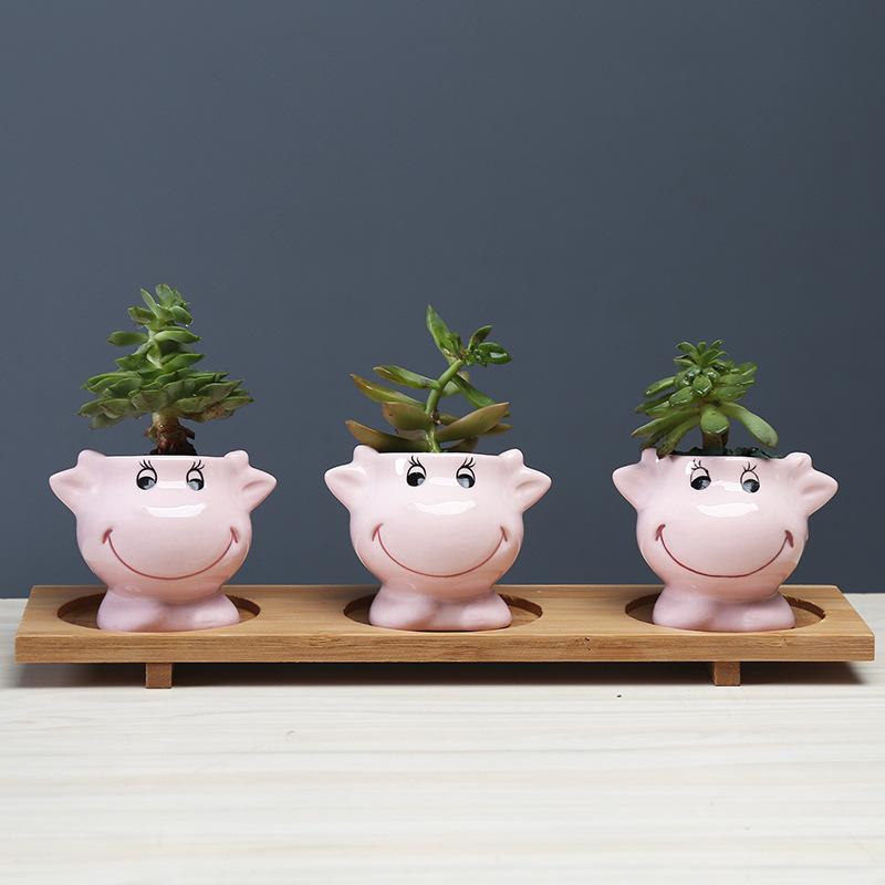 Cute Cartoon Succulent Flower Pot Simple Creative Personality Nordic Balcony Flower Pot Tabletop Plant
