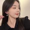 1pair European and American Fashion Personality Delicate Black Zircon Earrings Women Geometric Design Simple Light Luxury Earrings