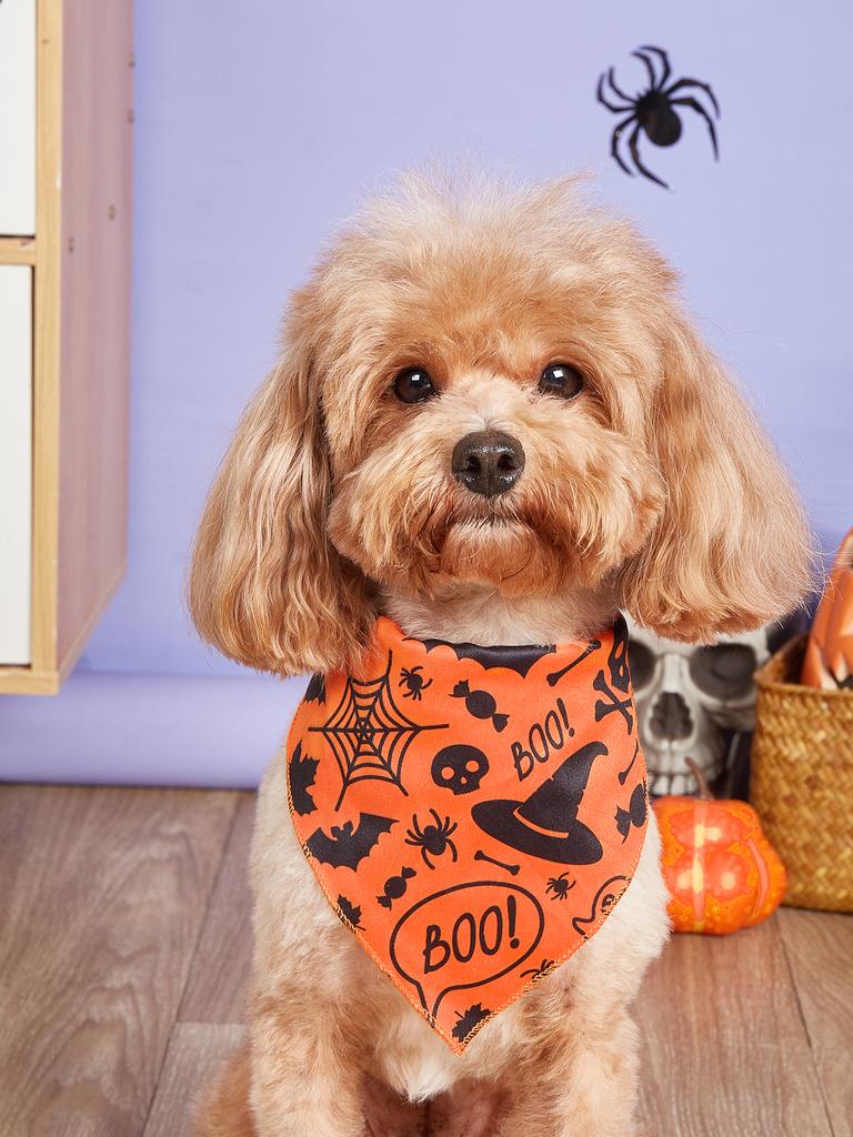 Halloween Dog Bandana, Pumpkin and Spider  Web Bibs Triangle  Pet Scarf, Multiple Sizes  Soft and  Adjustable Fit