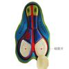 Pantaloncini da Ciclismo da Uomo con Imbottitura in Gel 19D Asciugatura Rapida Biancheria Intima da Bici per Ciclismo su Strada