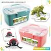 Realistic Animal Growth Cycle Storage Box Set With Mosquito Spider Ladybug Frog Worm Snail Models In Pink And Blue