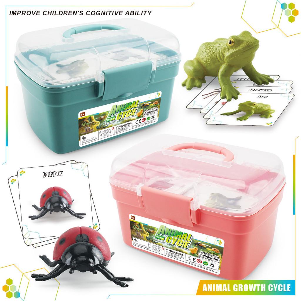 Realistic Animal Growth Cycle Storage Box Set With Mosquito Spider Ladybug Frog Worm Snail Models In Pink And Blue