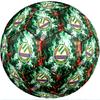 Rapid Wien FC Size 5 Standard Football Durable Training Match Soccer Ball for Adult Outdoor Sports