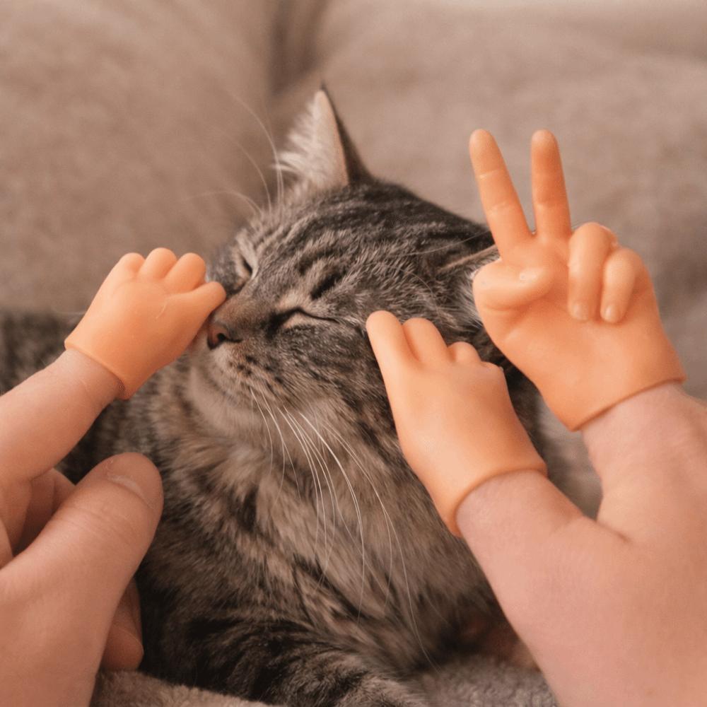 3pcs/set Bite Resistant Pet Finger Puppet Soft Cat Finger Fidget Creative Cat Teasing Toy Cat Props