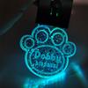 Personalized Engraved Name Glitter Acrylic LED Cat Tag Night Walking Safety Light