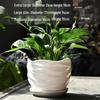 Elegant White Ceramic Flower Pot with Tray - Ideal for Ivy, Spider Plants, and Succulents