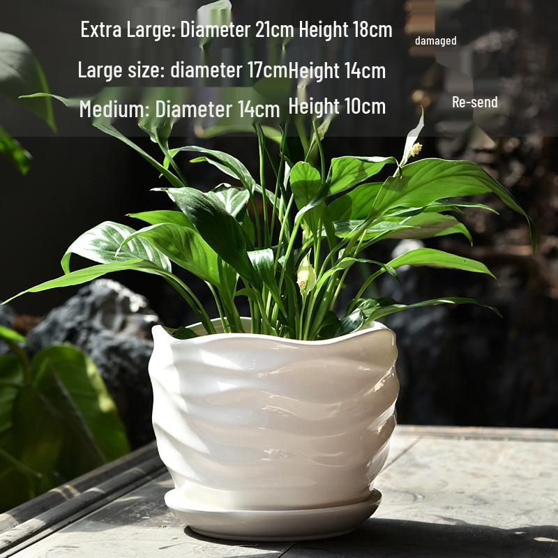 Elegant White Ceramic Flower Pot with Tray - Ideal for Ivy, Spider Plants, and Succulents