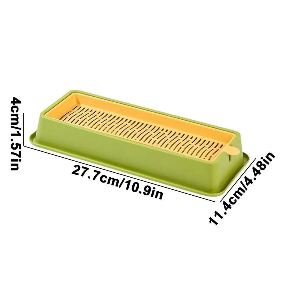 Hydroponic Catgrass Planting Bowls Layered Nursery Tray Cat Grass Growing Kit  Veterinary