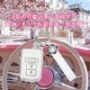 Key Case for Toyota Noah 80 Series Cute Sakura Key Case Voxy 80 Sakura Smart Key Case for New Vellfire 30 Series Alphard 30 Series Plum Blossom Cute