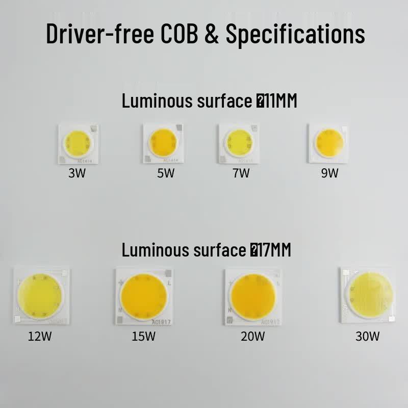 Andeli 220V Driverless COB LED Module