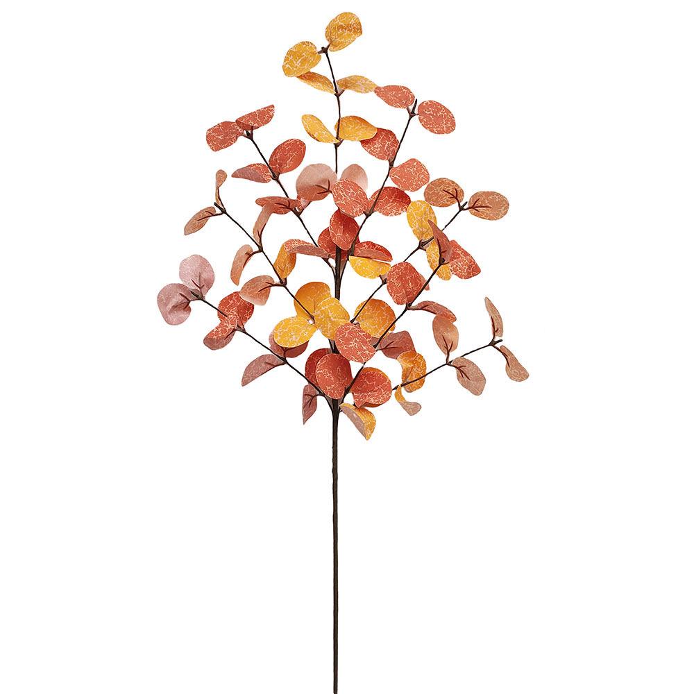 

Осенние ветки эвкалипта: Украшение на День благодарения и Праздник урожая 60 cm Long оранжевый/красный