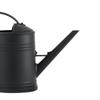 2000ml Watering Can Decorative Long Nozzle Multipurpose with Detachable Spray Head Large Capacity