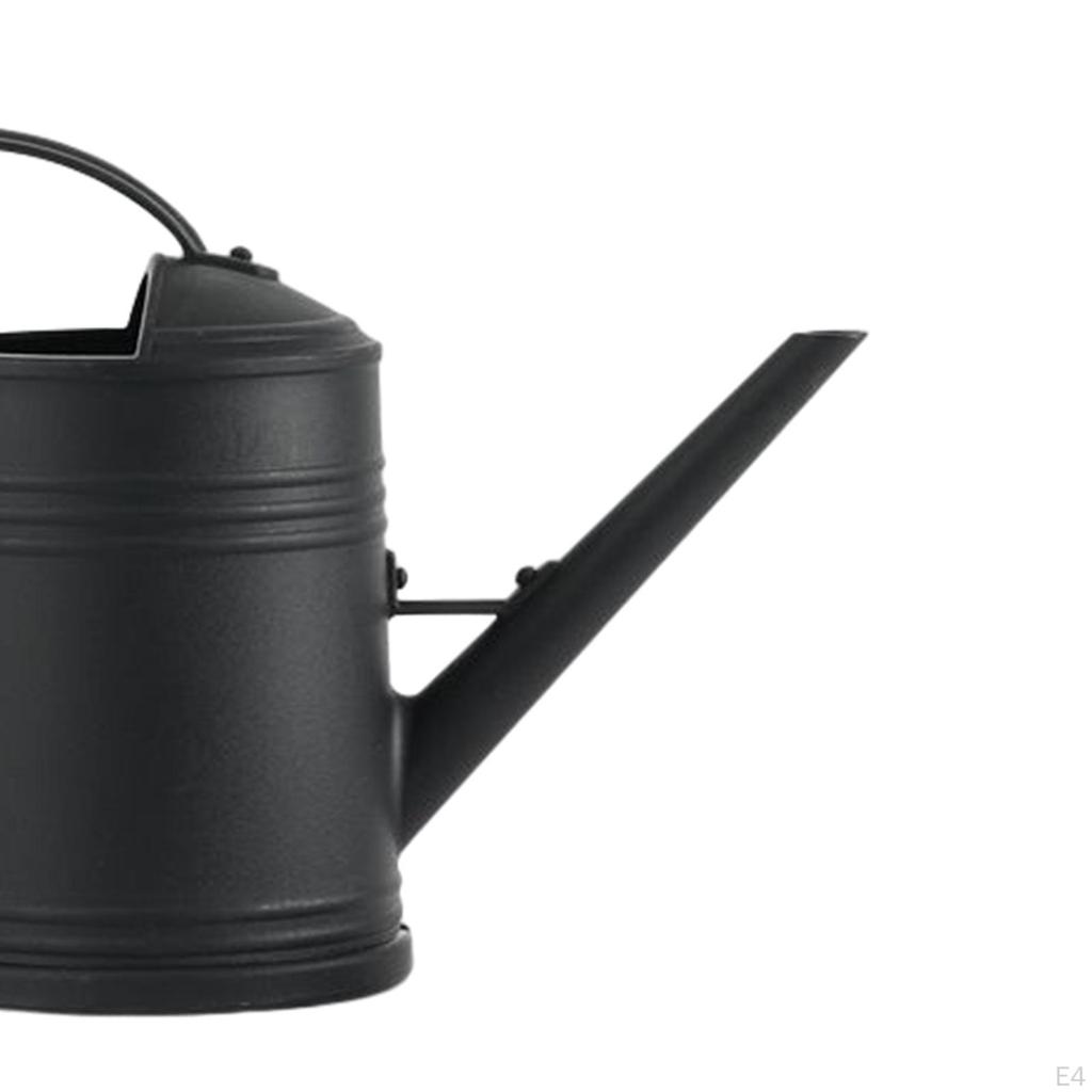 2000ml Watering Can Decorative Long Nozzle Multipurpose with Detachable Spray Head Large Capacity