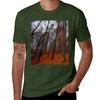 Forest in the Fall T-Shirt Short sleeve tee Blouse korean fashion clothes