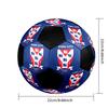New York City Indoor Soccer Ball Colorful Machine Stitched PVC Size 5 Team Training Competition Ready Durable High-Bounce Cool Sports Gift