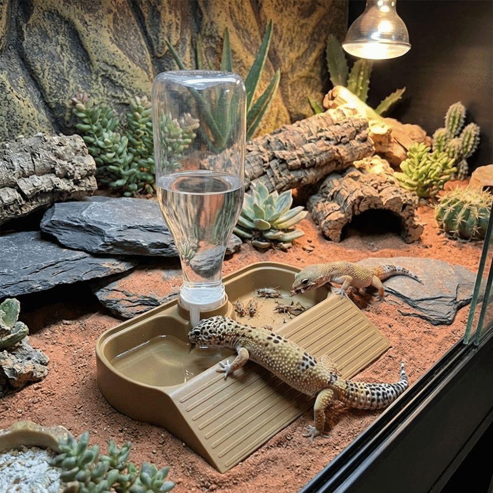 2 in 1 Reptile Feeder Station Automatic Fill Large Capacity Automatic Water Dispenser with Water Bottle Plastic
