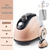 All-in-One Electric Steam Ironing Machine for Vertical & Flat Use