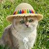 Comfortable Pet Straw Hat Cat Hat, Sun with Lace And Bow, Summer Soft Cute Protection for Cats Small Dogs Outdoor Walks Dog