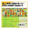 Kutsuwa STAD Pencil B RF018 National Flags Encyclopedia Easy-Grip Triangular Shaft, 1 Dozen (x2)