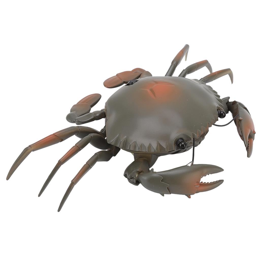 RC Crab Toy Educational Simulated Sea Life Animals Electric Crab Animal Model for Kids Birthday