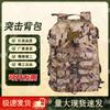Tactical Camouflage Outdoor Backpack