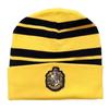 HARRY POTTER Unisex Adult Hufflepuff Beanie