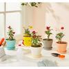 Round Pots for Plants with Bottom Tray|Indoor and Outdoor Flower Pot for Home/Office/Table/Garden/Balcony Decoration|5.5 Inch