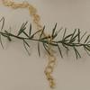 M.atur My Forest Bracelet 01