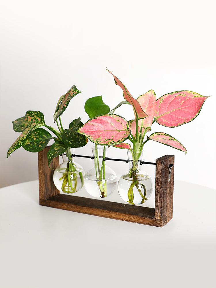 Wall Mounted Hydroponic Vase Green Plant Wooden Frame Vase for Living Room Home Decor