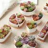 Mini Bamboo Tray Wood Saucer Flower Pot Tray Cup Pad Coaster Plate Kitchen Decorative Plate Creative Coffee Cup Mat Home Decor