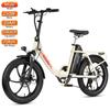 Maxtron Mule Electric Bicycle 250W Motor 20" Tire Foldable Electric Bike 7 Speed Dual Disc Brakes 48V 20Ah LCD Display Top Speed 25km/h