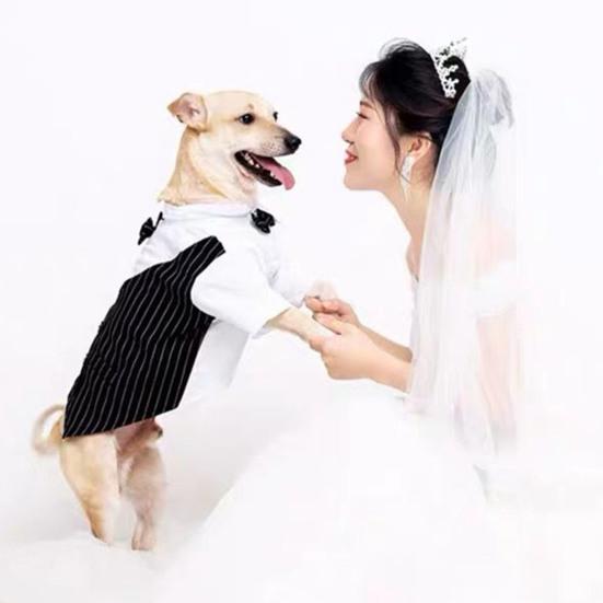 Pet Suit Bowtie Short Sleeve Cat Outfit Dog Wedding Suit Formal Shirt for Small Dogs