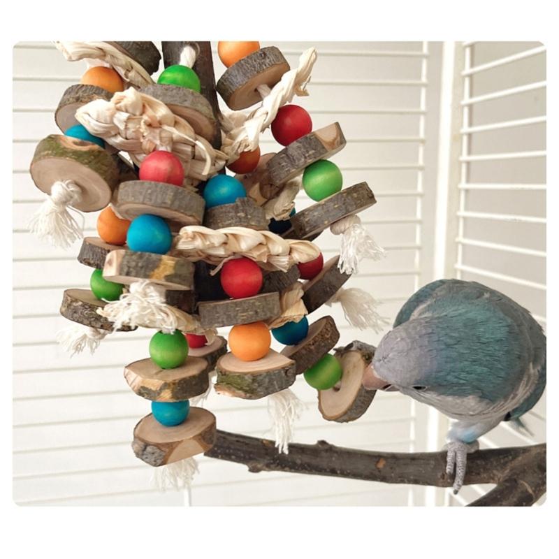 Interaktives Vogel-Molarenspielzeug hilft, einen gesunden Schnabel zu erhalten und bietet ausgedehnten Spaß. Sichere Materialien, perfekt für Papageienvögel.