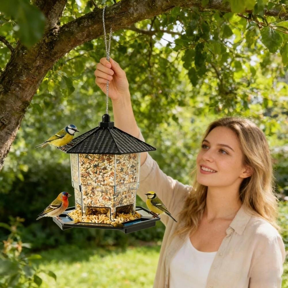 Transparent Hanging Bird Feeder Squirrel Proof Bird Food Container Bird Feeding Station  Backyard
