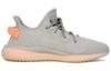 Yeezy Boost 350 Adidas Originals V2 'True Form' EG7492