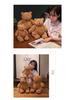 Barcelona Teddy Bear Plush - Rona, Soothing Sleep Pillow Doll