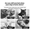 Dog Chew Toys for Small/Medium/Large Dogs - Dental Chew Sticks for Teeth Cleaning, Puppy & Cat Toys