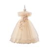 Girls Princess Gown Performance