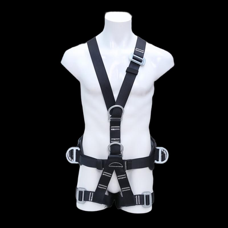 Ruifulaike Five-Point Safety Harness