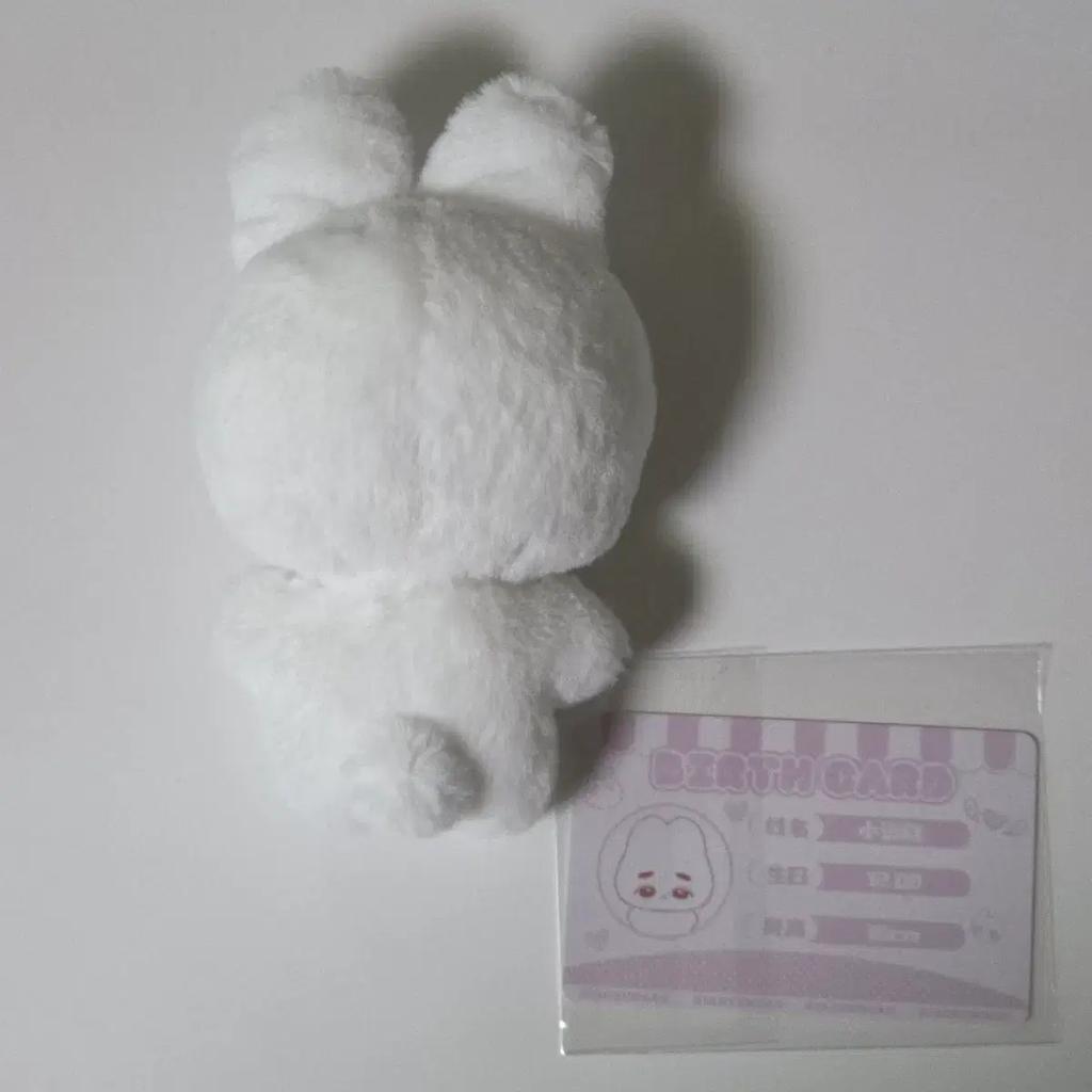 ENHYPEN Sunghoon Doll Hoonsoohoon Rabbit Used