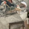 Farm Rooster Chicken Retro Illustration Sheer Curtains for Living Room Tulle for Windows Voile Yarn Short Bedroom Curtains