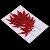 12pcs Natural Real Dried Leaves Maple Leaf for Christmas Making