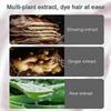 2025 Natural Plant Hair Dye, New Botanical Bubble Hair Dye 10Packs/Box